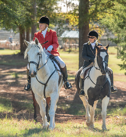 Belle Meade_11-3-2018_288196
