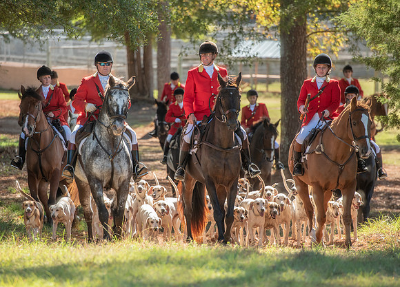 Belle Meade_11-3-2018_288217