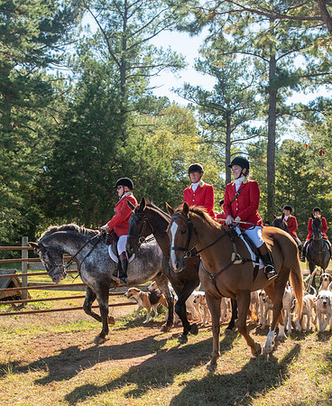 Belle Meade_11-3-2018_288850