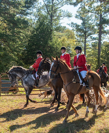 Belle Meade_11-3-2018_288851