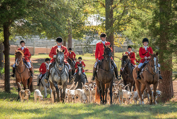 Belle Meade_11-3-2018_288224