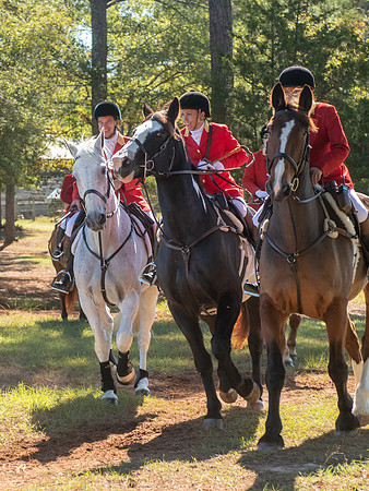 Belle Meade_11-3-2018_288856