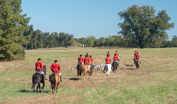 Belle Meade_11-3-2018_288862