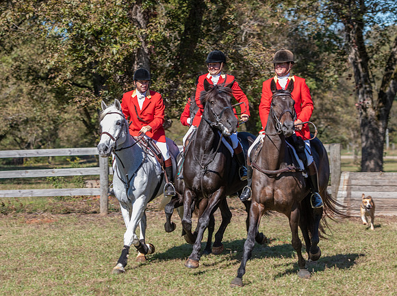 Belle Meade_11-3-2018_288273
