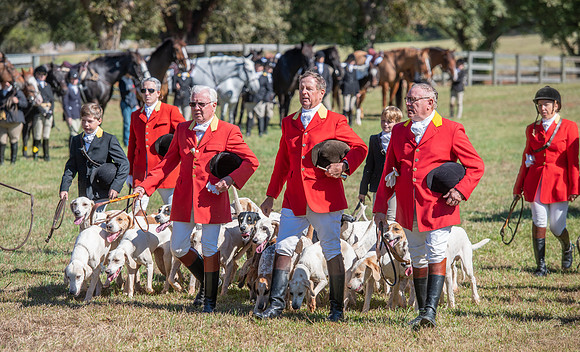 Belle Meade_11-3-2018_288285