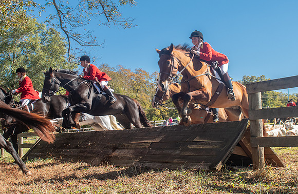 Belle Meade_11-3-2018_288874