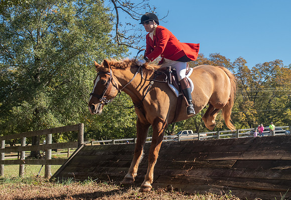 Belle Meade_11-3-2018_289808