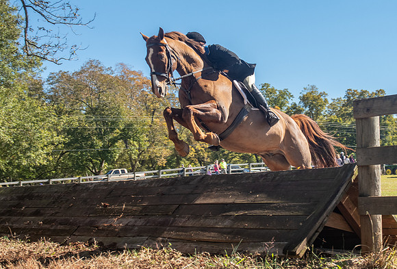 Belle Meade_11-3-2018_289854