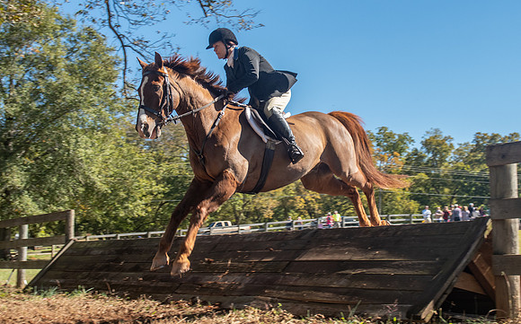 Belle Meade_11-3-2018_289856
