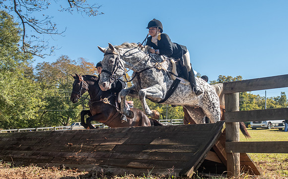 Belle Meade_11-3-2018_289859