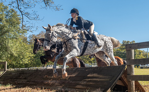 Belle Meade_11-3-2018_289860
