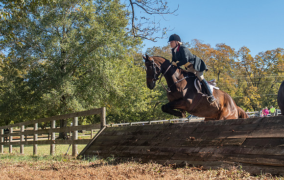 Belle Meade_11-3-2018_289870