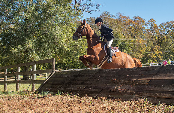 Belle Meade_11-3-2018_289884
