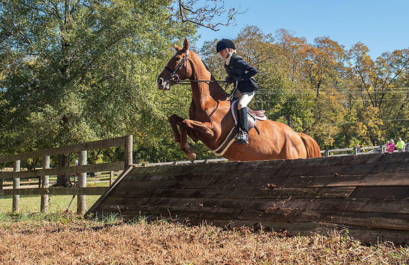 Belle Meade_11-3-2018_289885