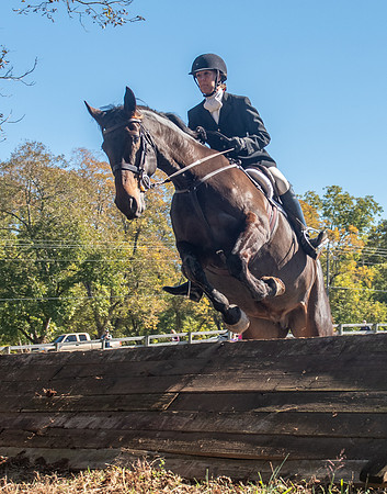Belle Meade_11-3-2018_289889