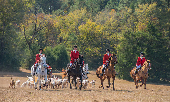 Belle Meade_228100_11-5-2016