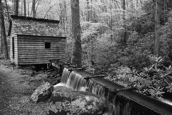 Smokies_4-24-2018_273931