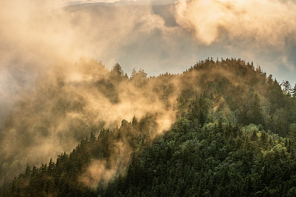 Smokies_8-8-2018_280320