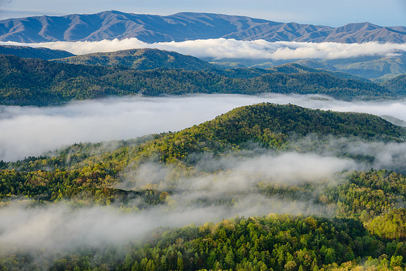 Smokies_4-26-2018_274498