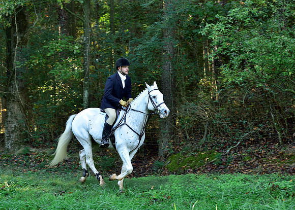 Shakerag Opening Hunt 2014