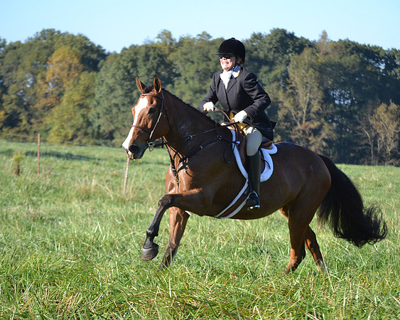 Shakerag Opening Hunt 2014
