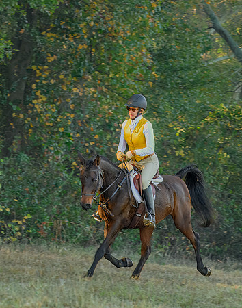 Shakerag Hounds_20231028_394826-topaz-faceai-denoiseraw-sharpen