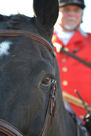 Shakerag Opening Hunt 2014