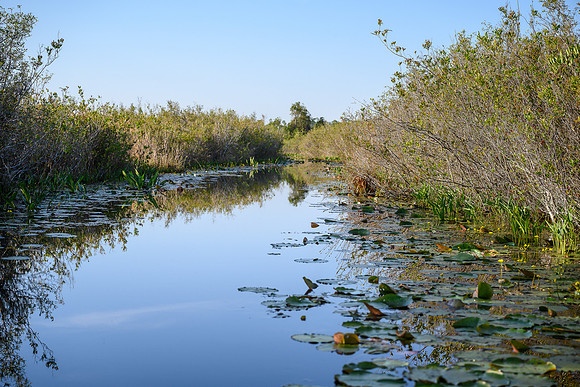 Okefenokee_4-13-2021_342279