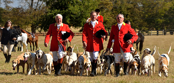 Belle Meade Fox Hunt - Opening Meet 2013