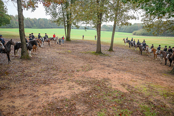 Shakerag_10-30-2021_354384