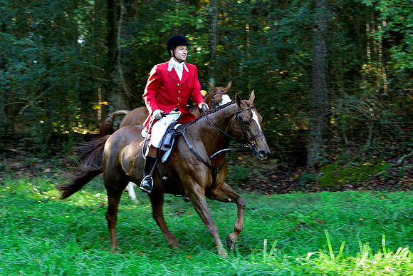 Shakerag Opening Hunt 2014