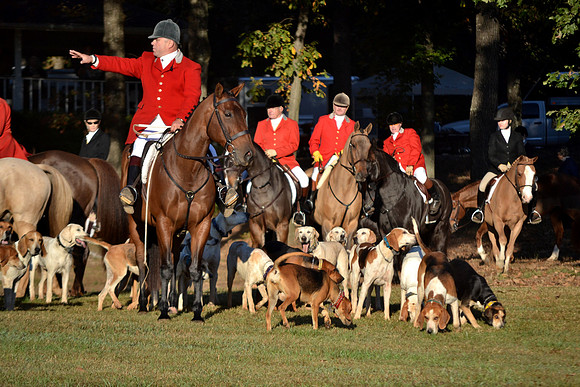 Shakerag Opening Hunt 2014
