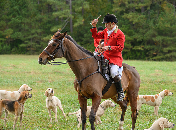 Belle Meade_11-6-2021_355463