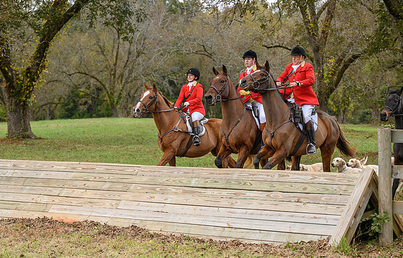 Belle Meade_11-6-2021_355477