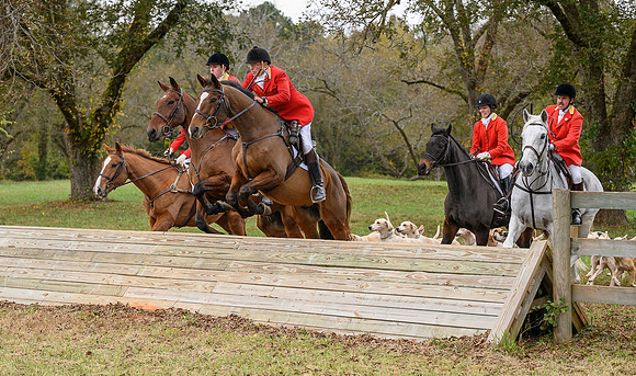 Belle Meade_11-6-2021_355481