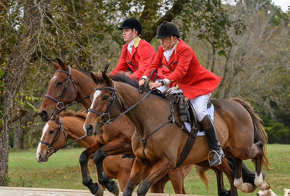 Belle Meade_11-6-2021_355483