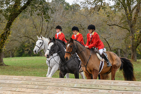 Belle Meade_11-6-2021_355493