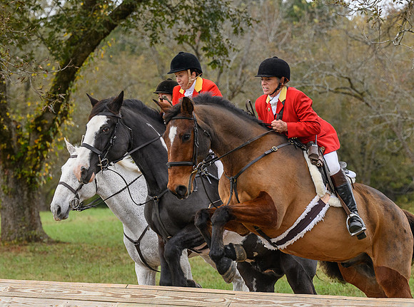 Belle Meade_11-6-2021_355495