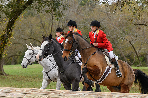 Belle Meade_11-6-2021_355494