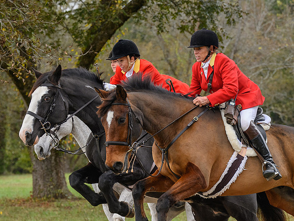 Belle Meade_11-6-2021_355496