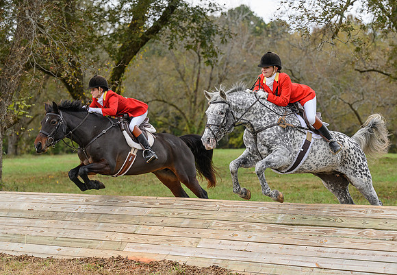 Belle Meade_11-6-2021_355501