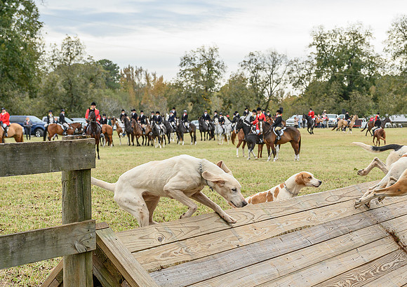Belle Meade_11-6-2021_357688