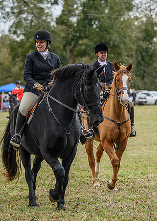 Belle Meade_11-6-2021_355891