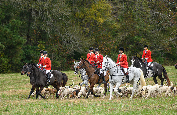 Belle Meade_11-6-2021_355895