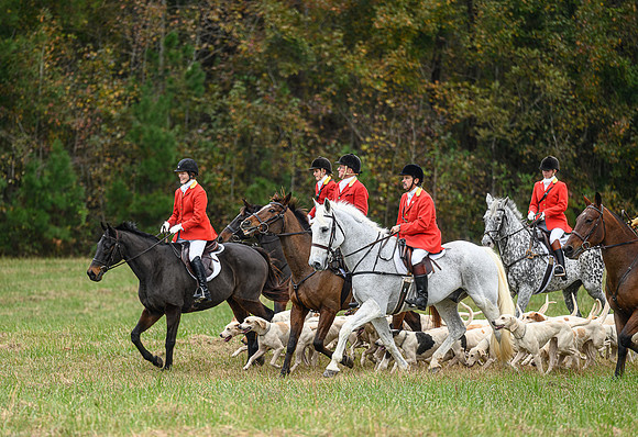 Belle Meade_11-6-2021_355897