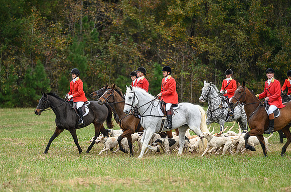 Belle Meade_11-6-2021_355898
