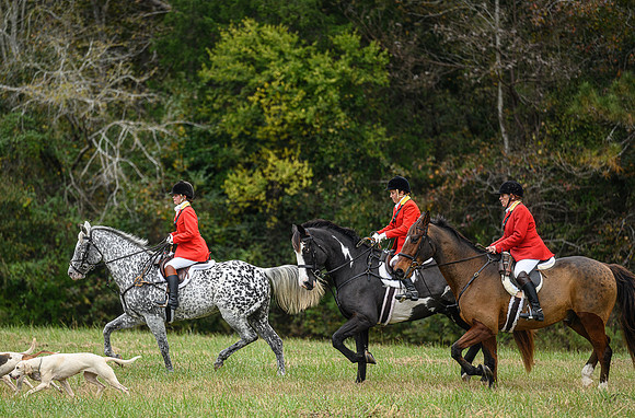 Belle Meade_11-6-2021_355904