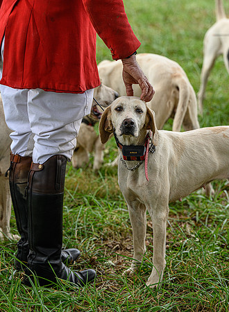 Belle Meade_11-6-2021_355907