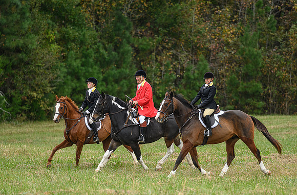 Belle Meade_11-6-2021_355906
