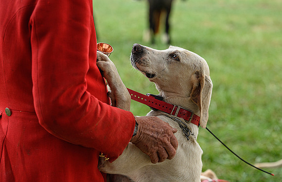 Belle Meade_11-6-2021_355918